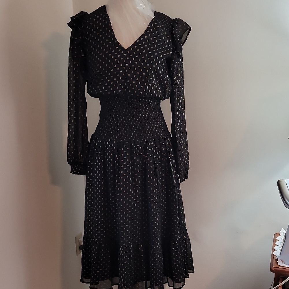 Aqua Gold and Black Fit and Flare Dress with Bishop Sleeves